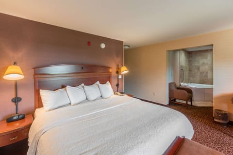 Room, 1 King Bed, Non Smoking | Hypo-allergenic bedding, in-room safe, iron/ironing board, free WiFi