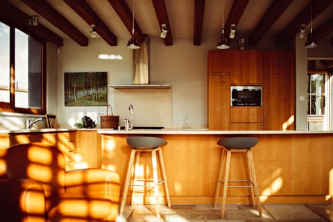 Design House, Fireplace, Lake View | Private kitchen | Full-size fridge, microwave, oven, stovetop