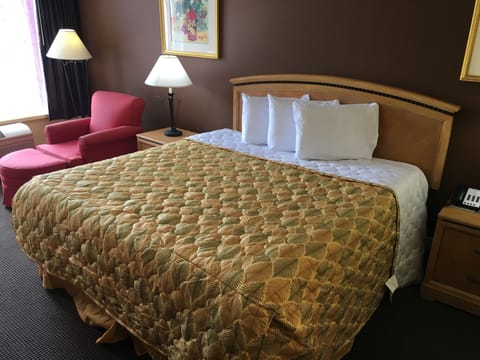 Standard Single Room, 1 King Bed, Refrigerator & Microwave | Premium bedding, desk, iron/ironing board, WiFi (free)