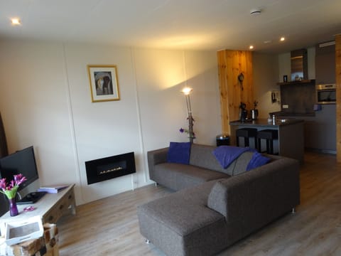 Apartment, 2 Bedrooms | Living room | Flat-screen TV, fireplace, table tennis