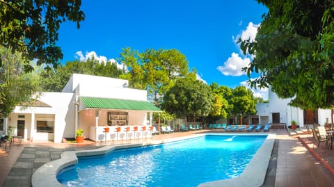 Outdoor pool, sun loungers