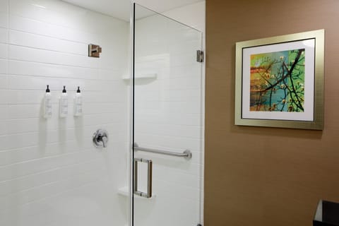 Combined shower/tub, hair dryer, towels