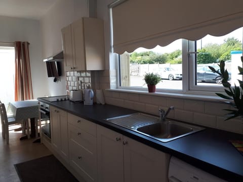 Family Apartment, 2 Bedrooms | Private kitchen | Fridge, microwave, oven, stovetop