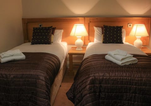 Deluxe Twin Room | Iron/ironing board, free WiFi, bed sheets