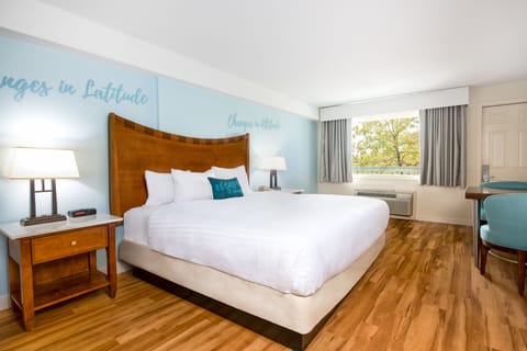 Blackout drapes, iron/ironing board, free WiFi, bed sheets