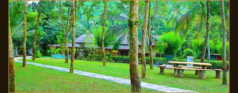 BBQ/picnic area