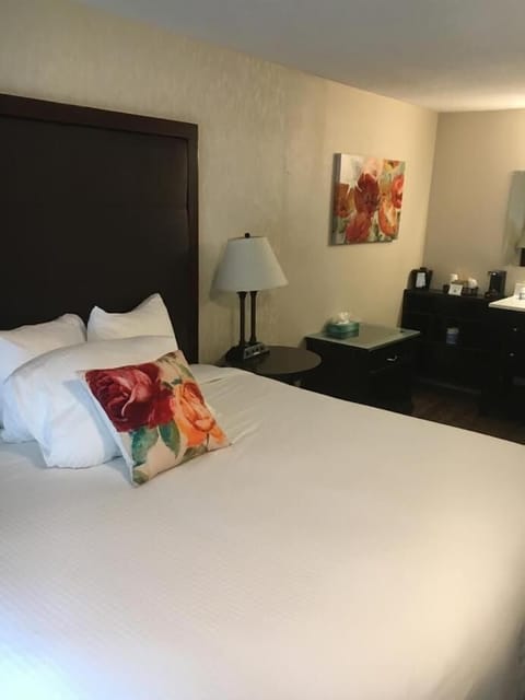 Desk, free cribs/infant beds, rollaway beds, free WiFi