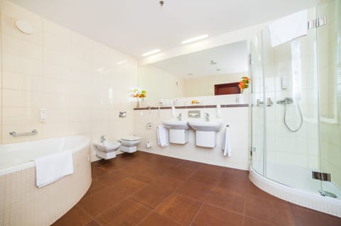 Shower, free toiletries, hair dryer, bathrobes