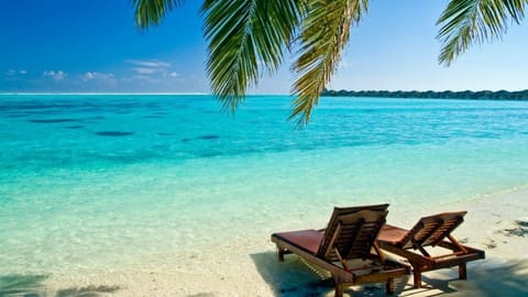 On the beach, free beach shuttle