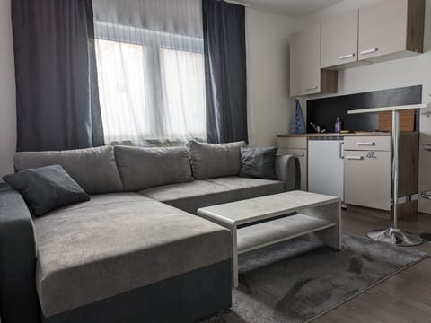 Standard Apartment, 1 Queen Bed with Sofa bed | Living area | 25-inch TV with cable channels