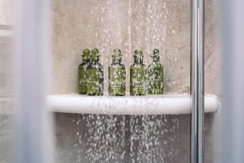 Shower, free toiletries, towels