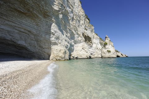 Private beach, white sand, free beach shuttle, sun loungers