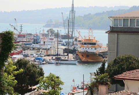Deluxe Room | View from room