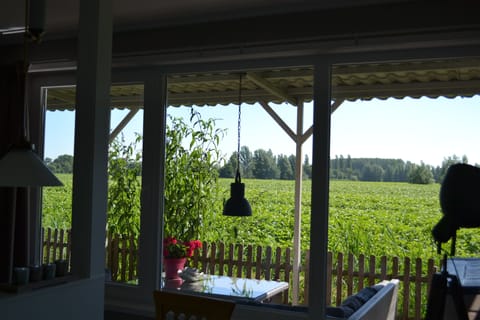 Comfort Apartment, 1 Bedroom | Terrace/patio
