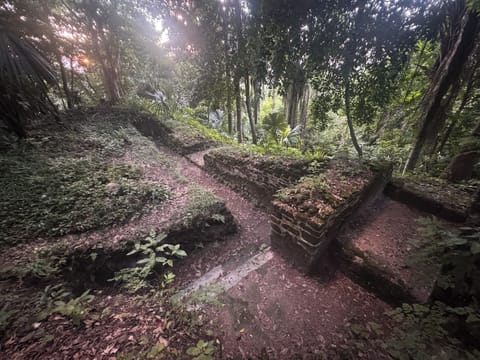 Land view from property