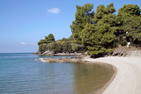 Beach nearby, beach umbrellas, snorkeling, 6 beach bars