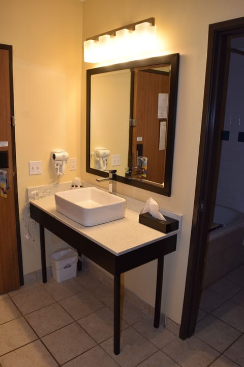 Eco-friendly toiletries, hair dryer, towels