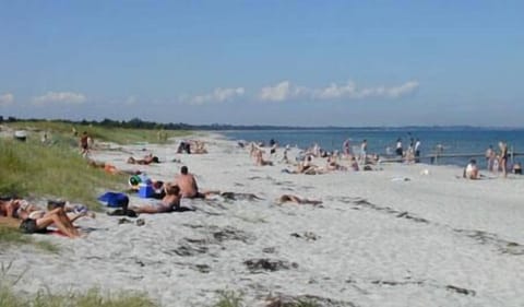 Beach shuttle