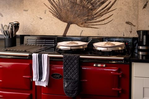 Penthouse, Private Bathroom, Lake View (AC21) | Private kitchen | Highchair