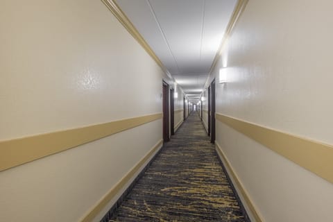 Superior Room, 1 King Bed, Accessible, Non Smoking (Roll-In Shower) | Bathroom | Towels