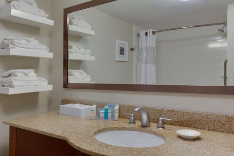 Combined shower/tub, free toiletries, hair dryer, towels