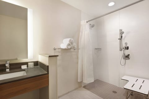 Room, 1 King Bed (Mobility Accessible, Roll-In Shower) | Bathroom | Free toiletries, hair dryer, towels, soap