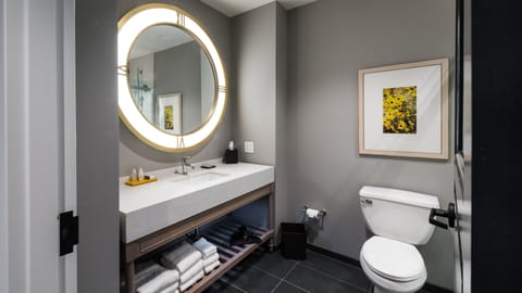 Free toiletries, hair dryer, towels