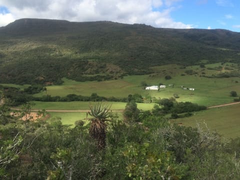 Mountain view