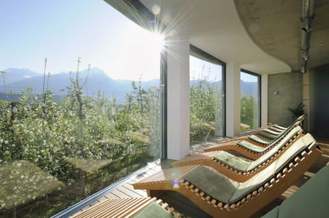 Sauna, steam room, body treatments, aromatherapy, hot stone massages