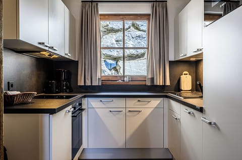 Classic Chalet (Schnee-Eule, incl. cleaning EUR 170) | Private kitchen | Full-size fridge, microwave, stovetop, dishwasher