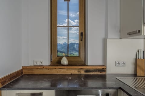 Apartment, 2 Bedrooms, Balcony (Gipfelstürmer, incl. cleaning EUR 100) | Private kitchen | Full-size fridge, microwave, stovetop, dishwasher