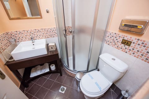 Superior Double Room | Bathroom | Shower, free toiletries, hair dryer, towels
