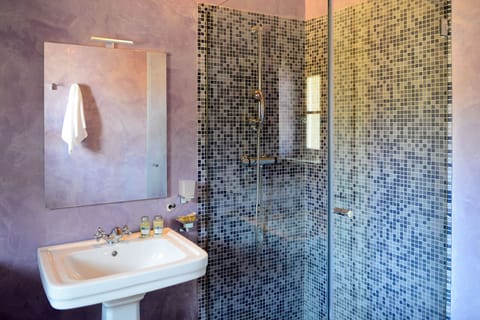 Deluxe Room, Private Bathroom, Courtyard Area | Bathroom | Shower, free toiletries, hair dryer, slippers