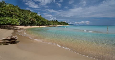 Beach nearby, white sand