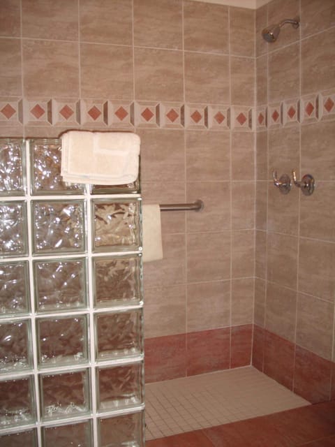 Combined shower/tub, free toiletries, hair dryer, towels