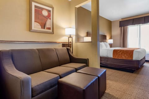 Suite, 1 King Bed with Sofa bed, Non Smoking | 1 bedroom, Egyptian cotton sheets, premium bedding, down comforters