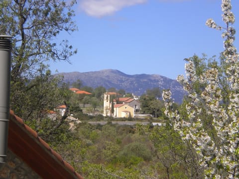 House, 1 Bedroom | 1 bedroom, soundproofing, free cribs/infant beds, free WiFi