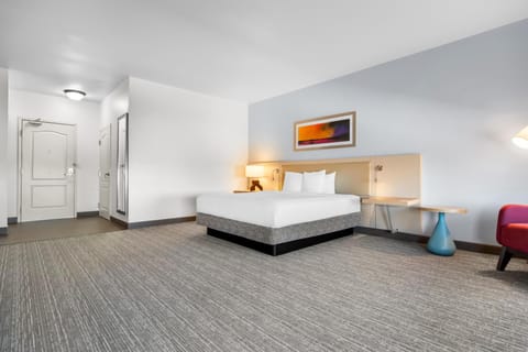 Hypo-allergenic bedding, down comforters, desk, blackout drapes