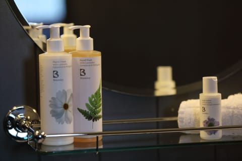 Family Double Room, 1 King Bed with Sofa bed | Bathroom amenities | Shower, designer toiletries, hair dryer, towels