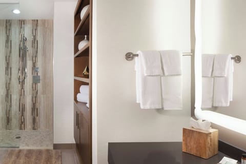 Shower, free toiletries, hair dryer, bathrobes