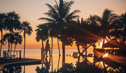 Outdoor pool, pool umbrellas, sun loungers