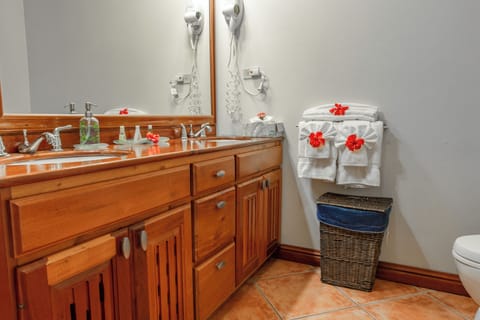 Shower, free toiletries, hair dryer, towels