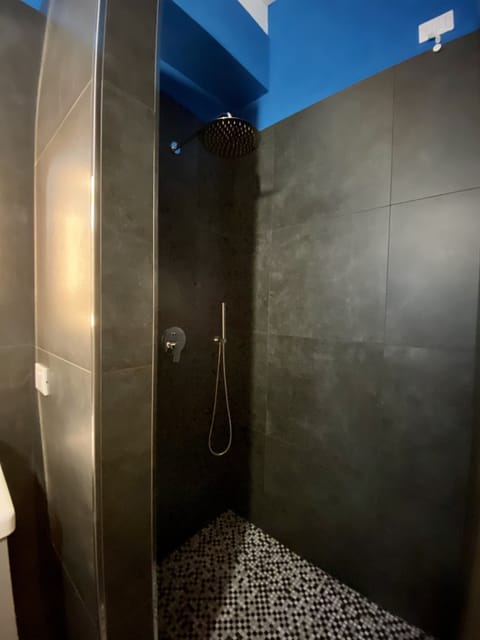Luxury Room | Bathroom | Shower, rainfall showerhead, free toiletries, hair dryer