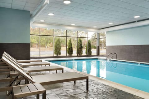 Indoor pool, sun loungers