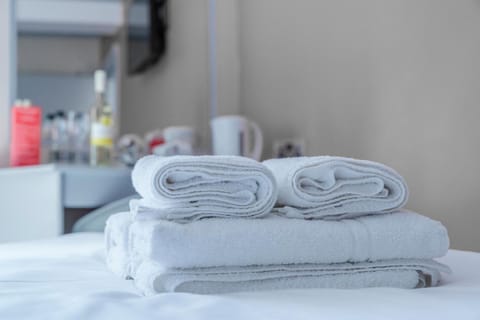 Deluxe Family Room | Bathroom amenities | Shower, rainfall showerhead, free toiletries, hair dryer