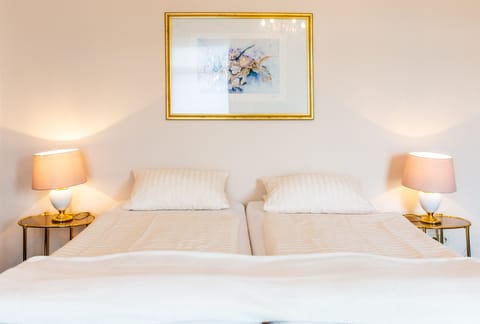 Standard Double Room, 1 Bedroom, Balcony, River View | Hypo-allergenic bedding, down comforters, in-room safe, soundproofing