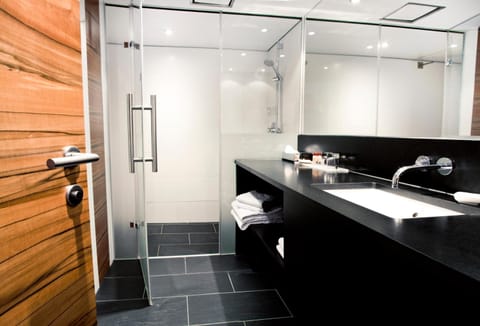 Shower, free toiletries, hair dryer, towels