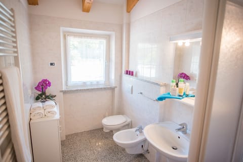 Apartment, 1 Queen Bed with Sofa bed, Garden View | Bathroom | Shower, hair dryer, bidet, towels