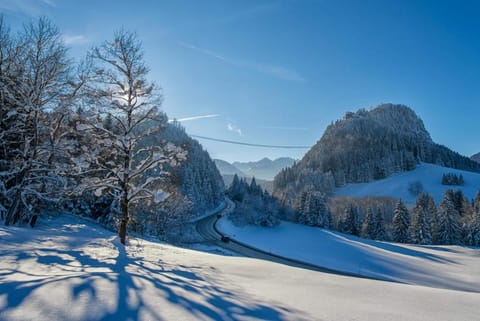 Snowshoeing