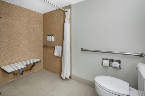 Combined shower/tub, free toiletries, hair dryer, towels
